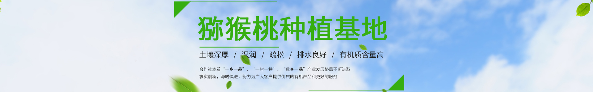 蠕动泵_微型蠕动泵_蠕动泵厂家_蠕动泵制造商_保定创锐泵业有限公司